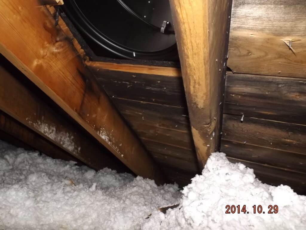 mold in attics