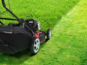 lawn mower tips