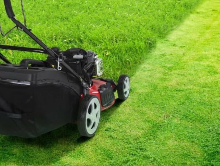 Lawn Mower Tips: