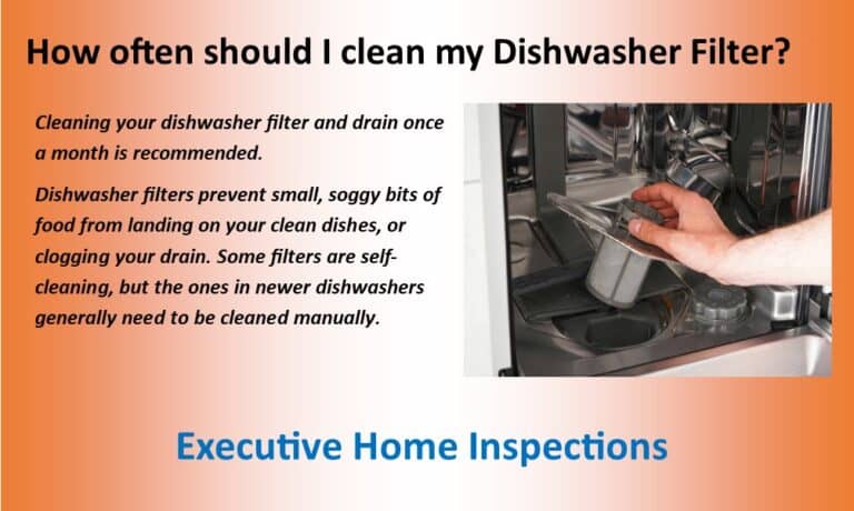 How often should I clean my Dishwasher Filter?