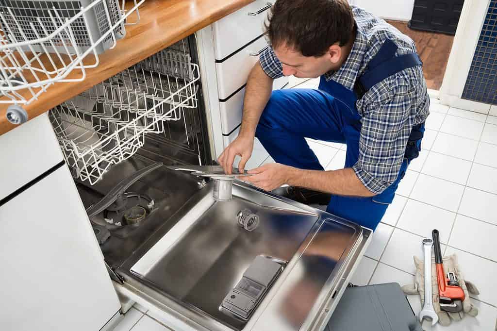 Dishwasher Cleaning